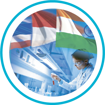 2010-2013 Master Fluid Solutions International flags graphic